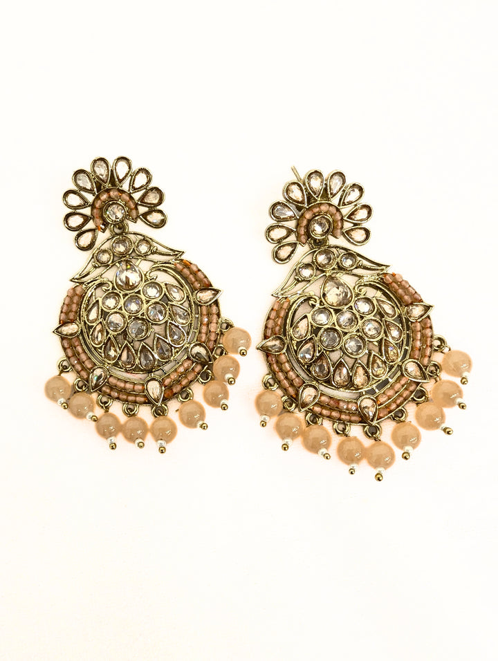 KANIKA STONE  EARRING AND TIKKA